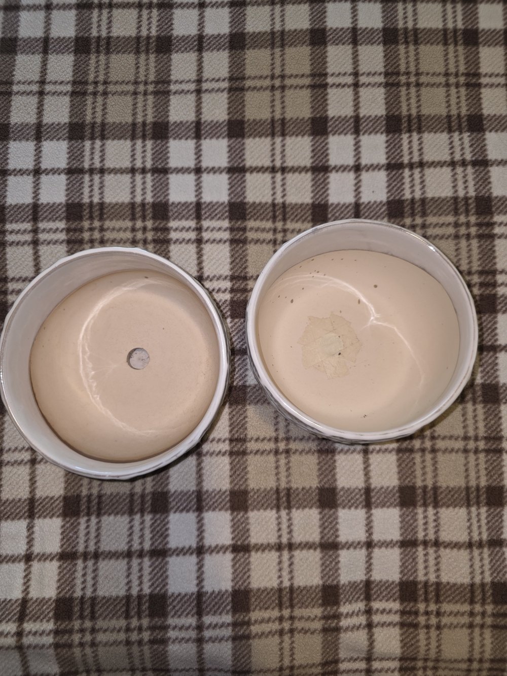 Allen & Roth Cream Embossed Ceramic Planters - Picture 2 of 4
